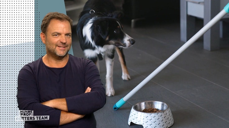 Hundeexperte Martin Rütter kommentiert eine Trainingsmethode für einen Hund.