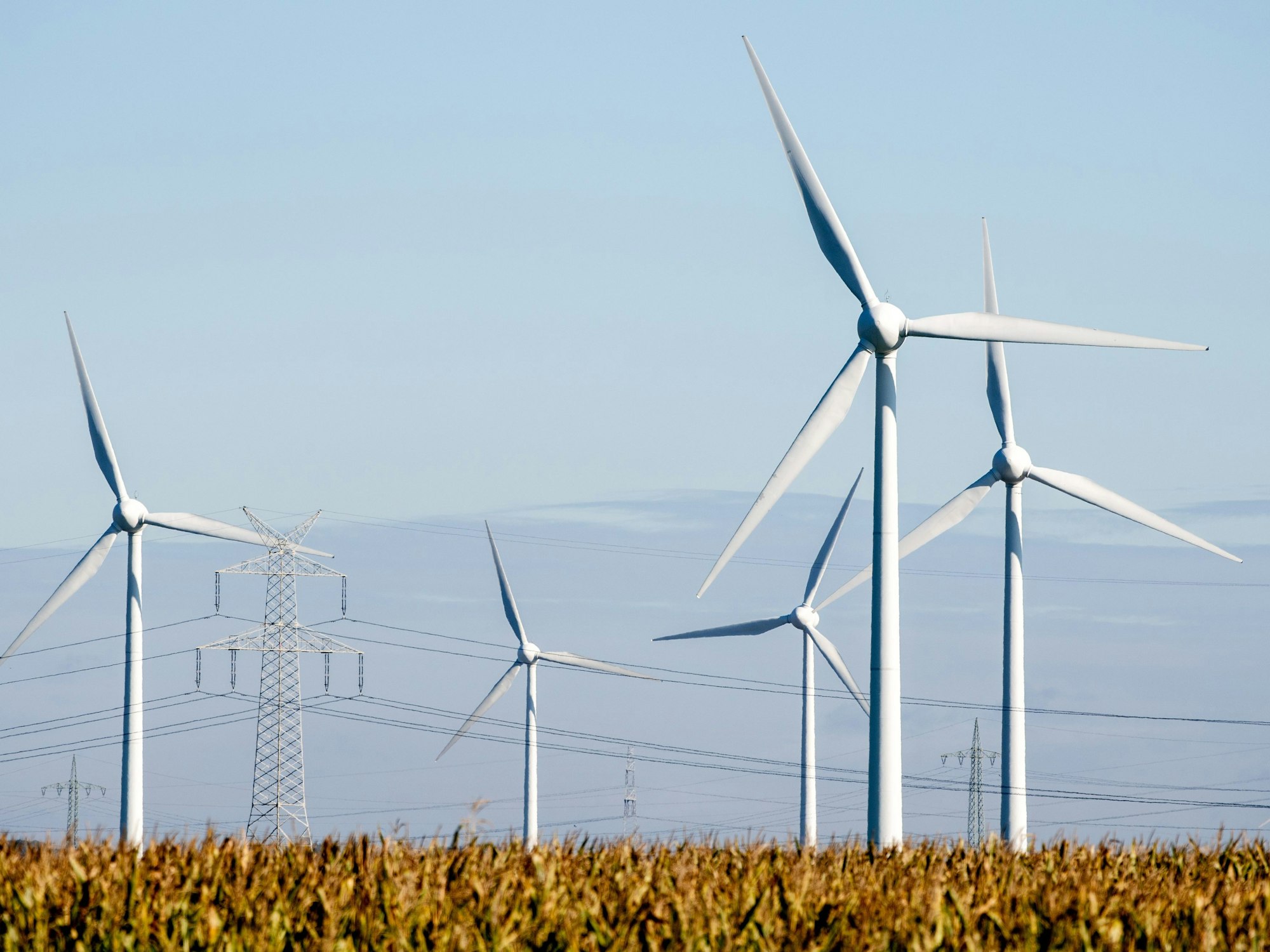 Mehrere Windkraftanlagen stehen bei sonnigem Herbstwetter neben einer Hochspannungsleitung und drehen sich im Wind.