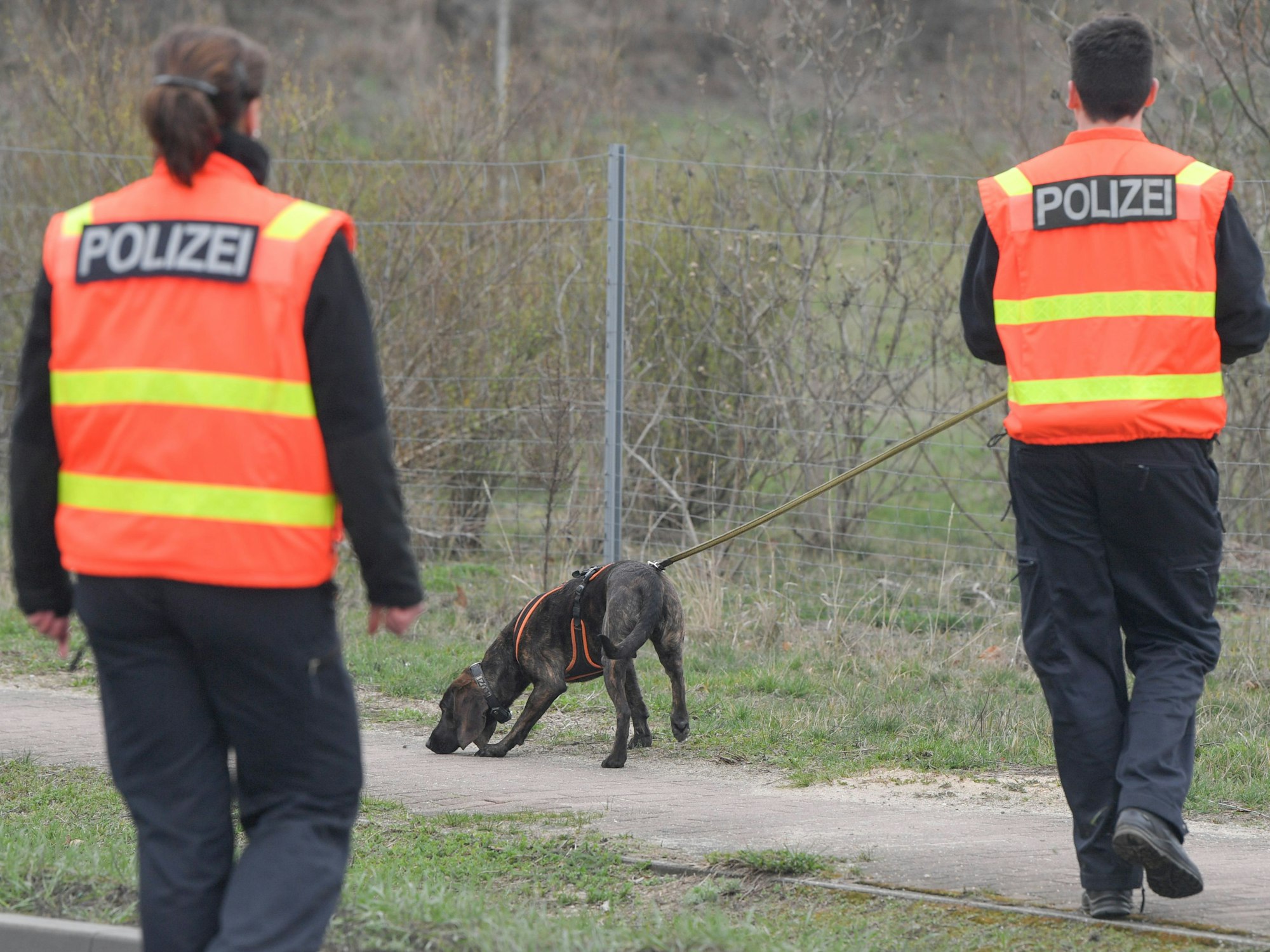 Ein Polizeihund wird zur Suche nach einem vermissten Kind eingesetzt.