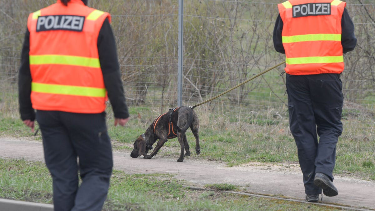Ein Polizeihund wird zur Suche nach einem vermissten Kind eingesetzt.