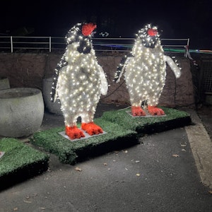 Beleuchtete Pinguinfiguren stehen im Kölner Zoo.