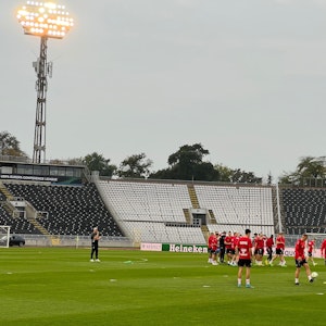 Abschlusstraining des 1. FC Köln im Stadion von Partizan Belgrad.