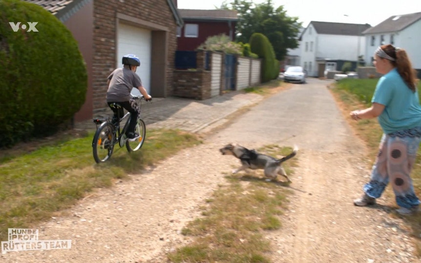 Emmi geht auf einen Jungen auf einem Fahrrad los. Frauchen Christiane hat Mühe, sie zurückzuhalten.