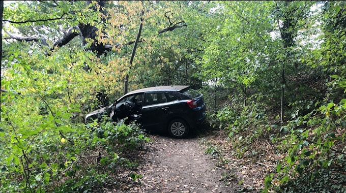 Ein Auto steht tief in einem Wald zwischen den Bäumen und kommt nicht mehr vorwärts.