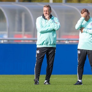 Co-Trainer Mike Büskens und Frank Kramer stehen auf dem Platz beim FC Schalke 04.