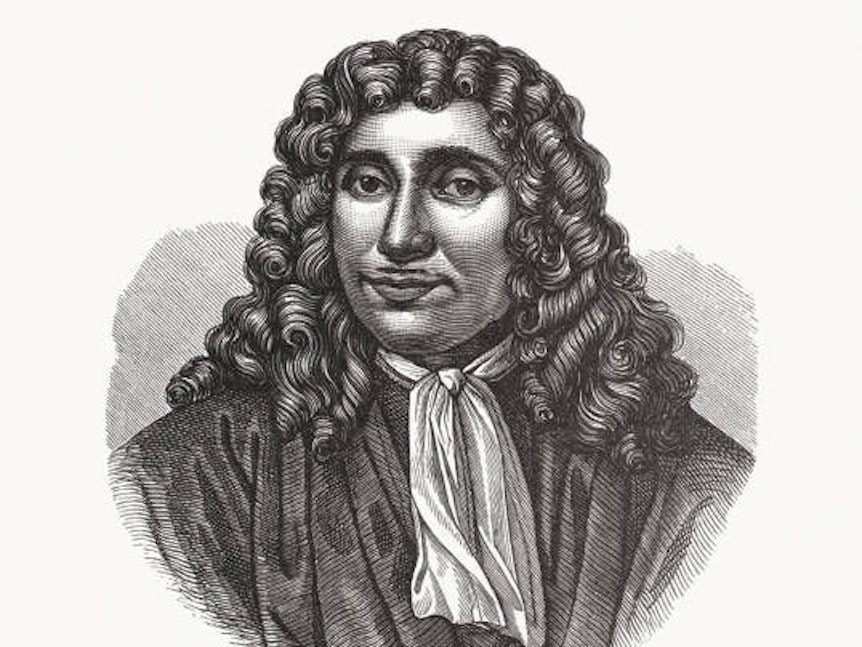 Antoni Philips van Leeuwenhoek (1632 - 1723)