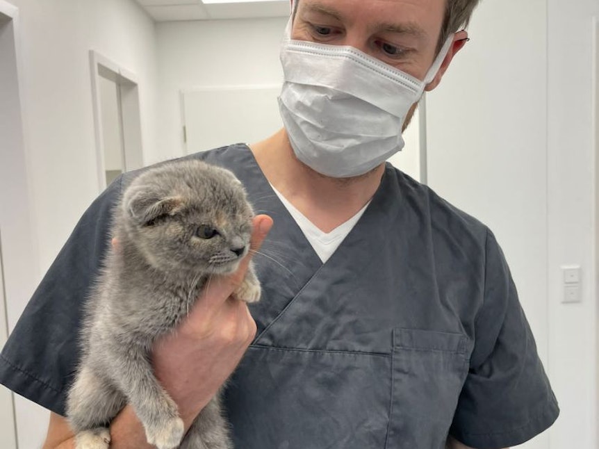 Katze "Fräulein Firlefanz" auf dem Arm von Tierarzt Dr. Mark Krause