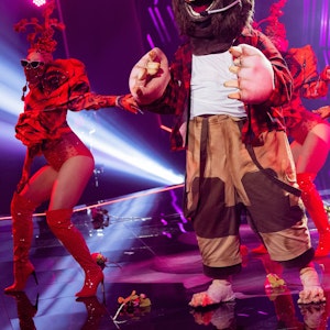 Die Figur «Der Maulwurf» steht in der Prosieben-Show «The Masked Singer» auf der Bühne. +++ dpa-Bildfunk +++