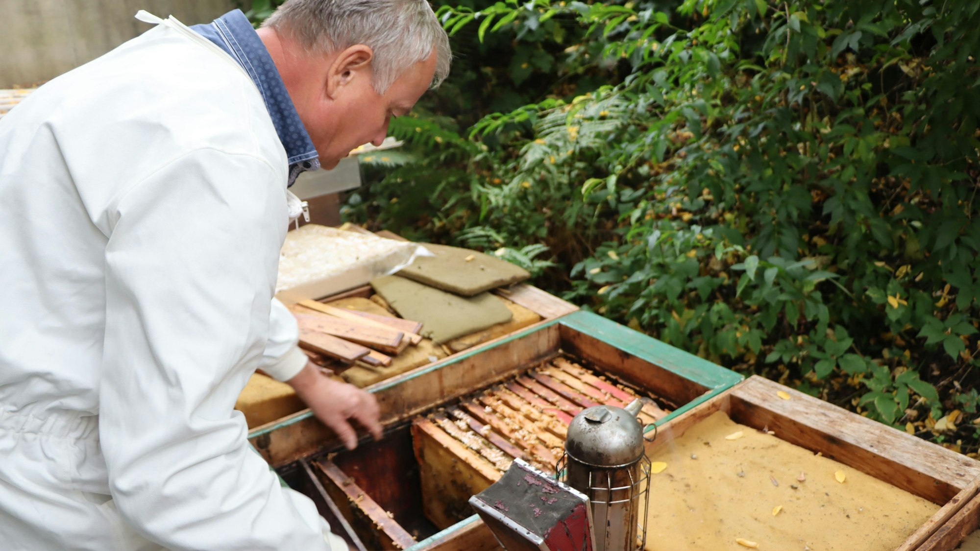 Der Imker Gero Meyer beugt sich über seine Bienenkästen, die in Brühl-Vochem stehen.