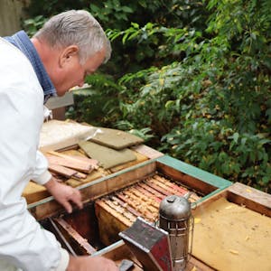 Der Imker Gero Meyer beugt sich über seine Bienenkästen, die in Brühl-Vochem stehen.