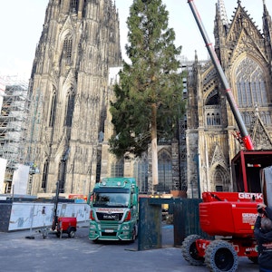 08.11.2022, Köln: Aufstellung des 26 Meter grossen Weihnachtsbaums auf dem Weihnachtsmarkt am Dom.