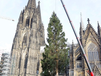 08.11.2022, Köln: Aufstellung des 26 Meter grossen Weihnachtsbaums auf dem Weihnachtsmarkt am Dom.