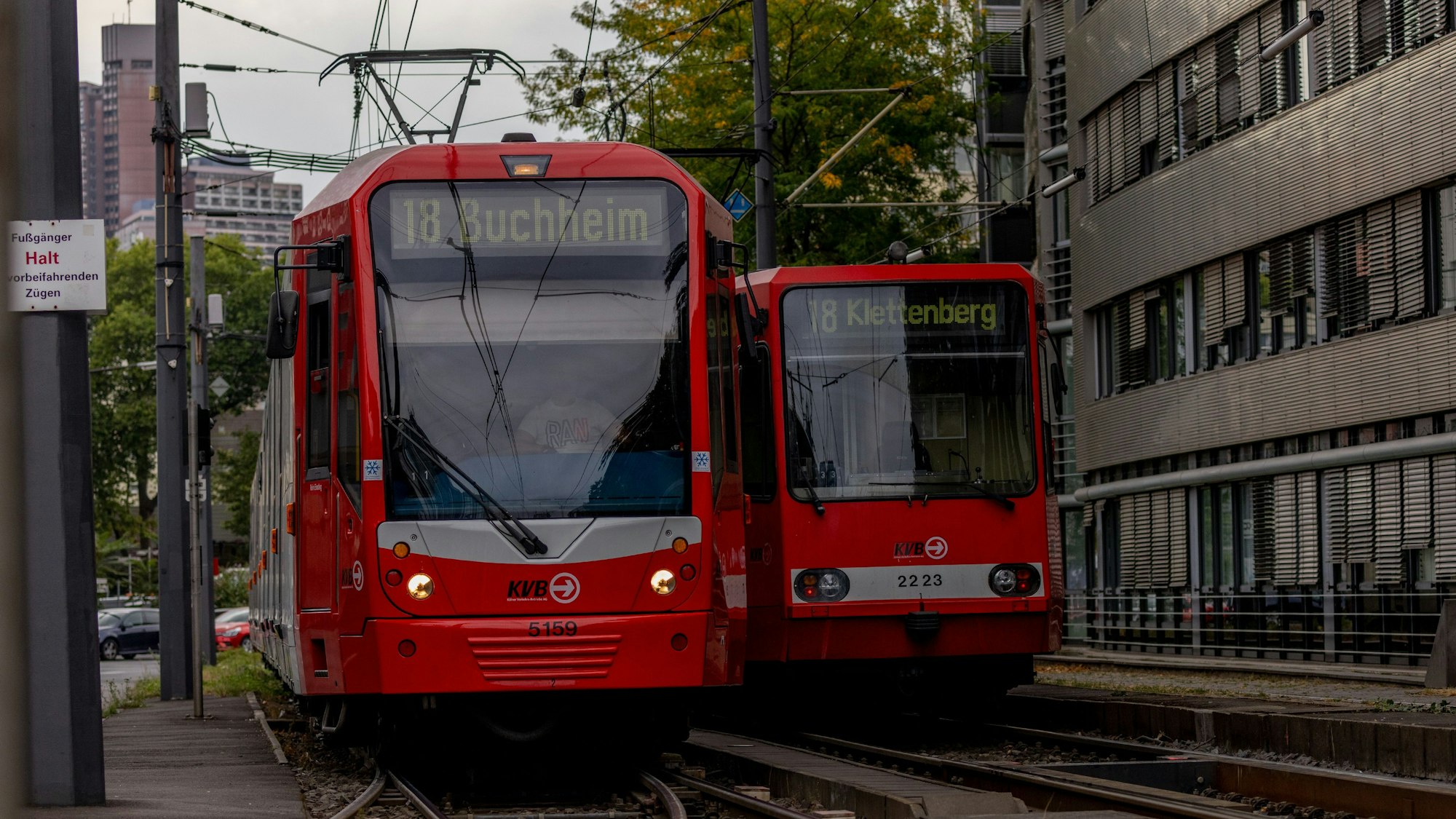 Bahnen der Kölner Verkehrs-Betriebe, hier der Linie 18, fahren auf Schienen.