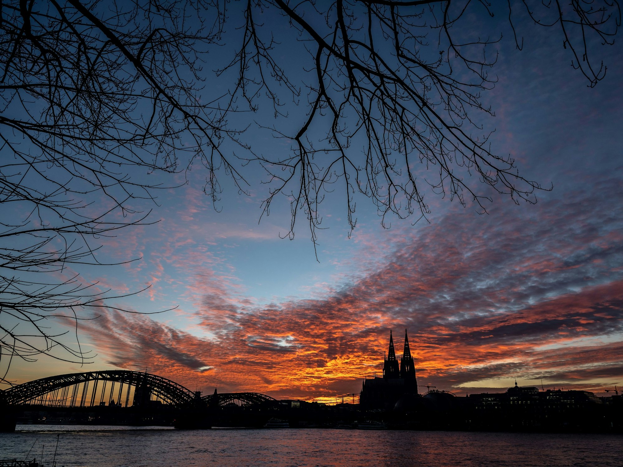 Die Silhouette des Doms am Rhein bei Sonnenuntergang