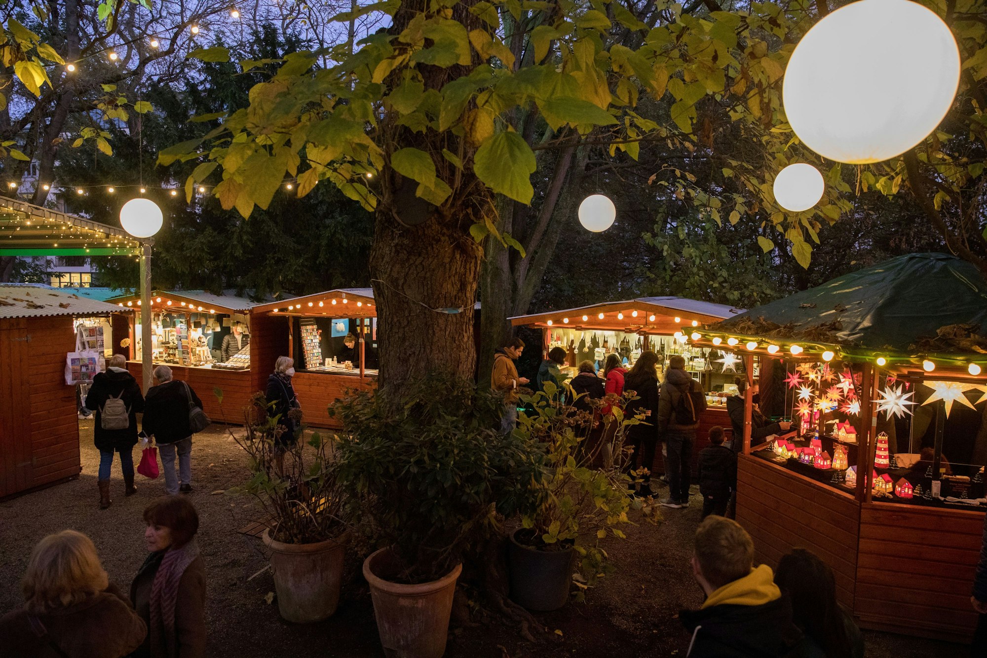 Weihnachtsmarkt im Stadtgarten: Holz-Buden mit Lichterketten im Halbkreis um einen Baum herum.