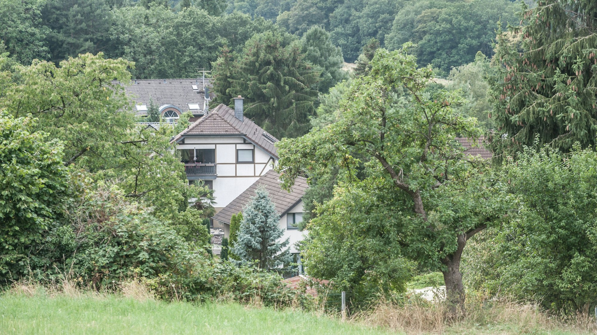 Dächer von Häusern hinter Bäumen im Burscheider Dorf Dürscheid, nahe der A 1.