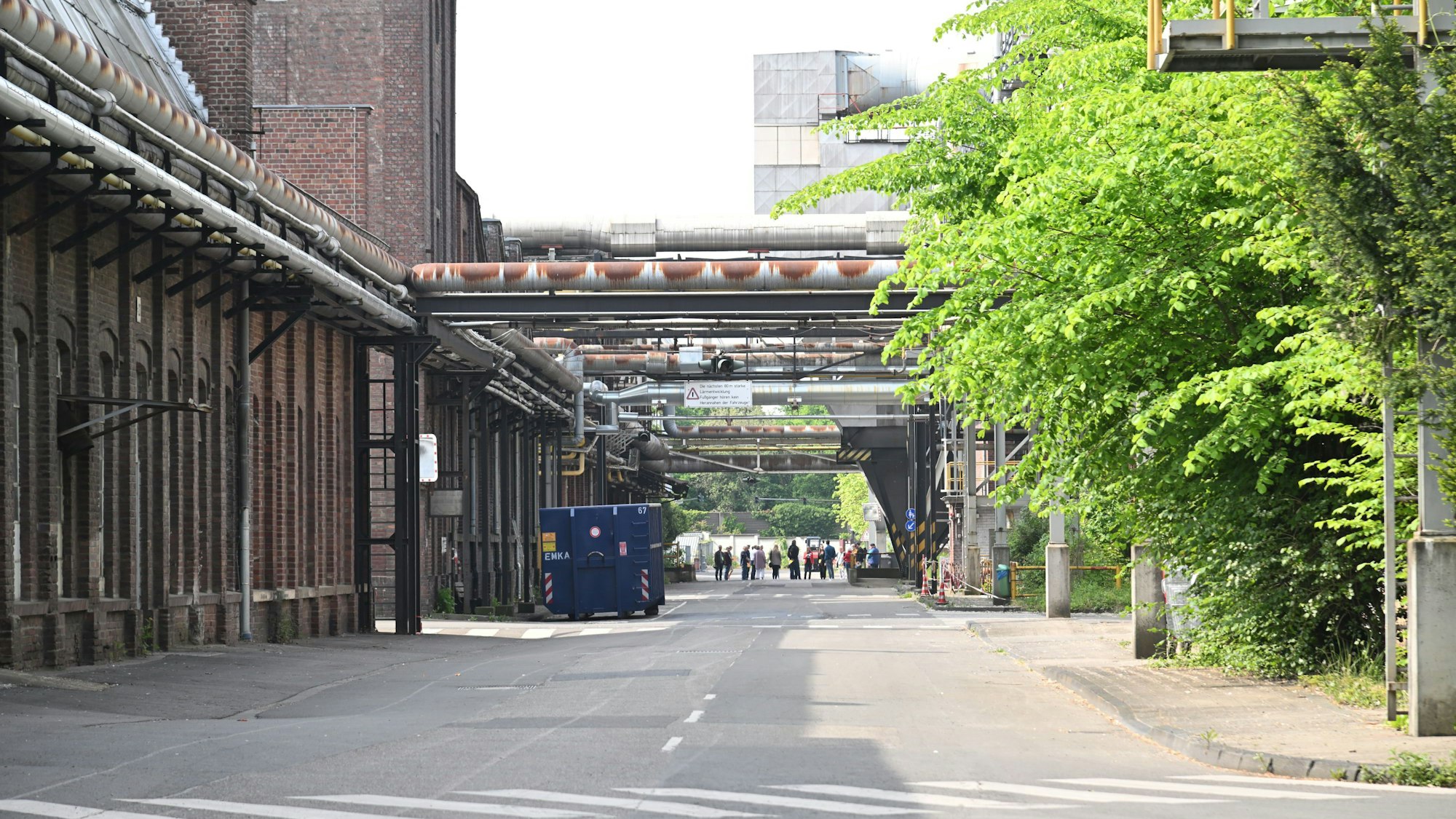 Eine Straße auf dem Zanders-Werksgelände. Links alte Fabrikhallen, rechts Bäume und Büsche, dazwischen Rohre, Brücken, ein Container.