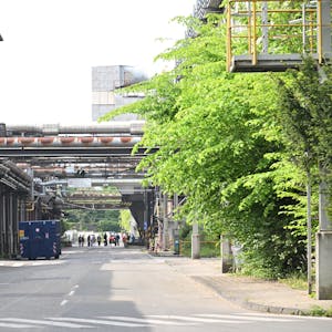 Eine Straße auf dem Zanders-Werksgelände. Links alte Fabrikhallen, rechts Bäume und Büsche, dazwischen Rohre, Brücken, ein Container.