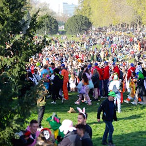 Karnevalisten auf einer Wiese mit Bäumen.
