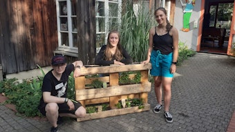 Franziska, Meike und Rosa stehen vor einer grün bepflanzten Supermarkt-Palette.
