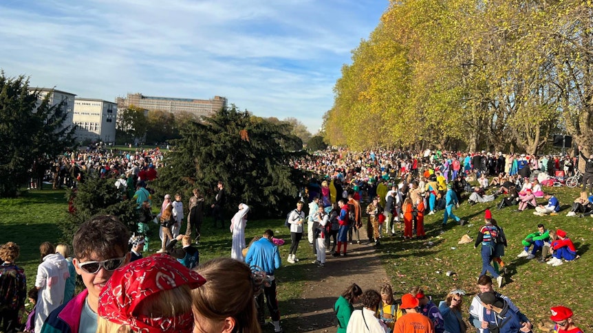 Ein Blick auf die Uni-Wiesen. Tausende Karnevalisten sitzen auf der Wiese oder stehen in kleinen Gruppen zusammen.