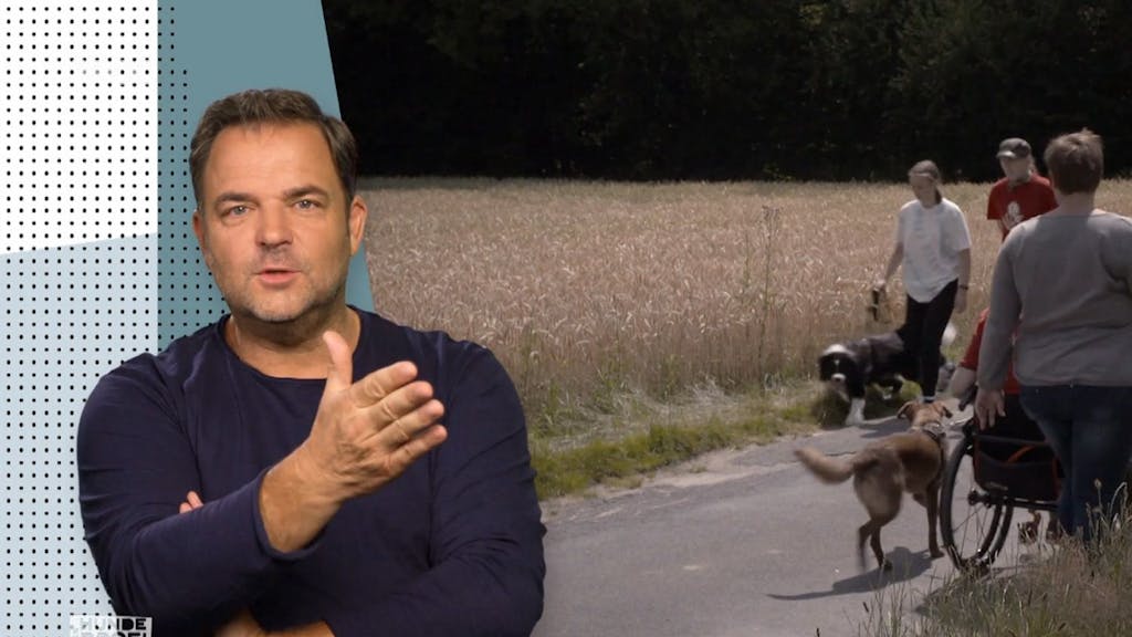 Martin Rütter bekommt es in einer neuen Folge seiner VOX-Show „Der Hundeprofi - Rütters Team“ (TV-Ausstrahlung: 12. November 2022) mit Mischlings-Rüde Leon zu tun. Das Foto zeigt den Hunde-Experten im Inbox-Interview, während Leon über einen Feldweg spaziert.&nbsp;