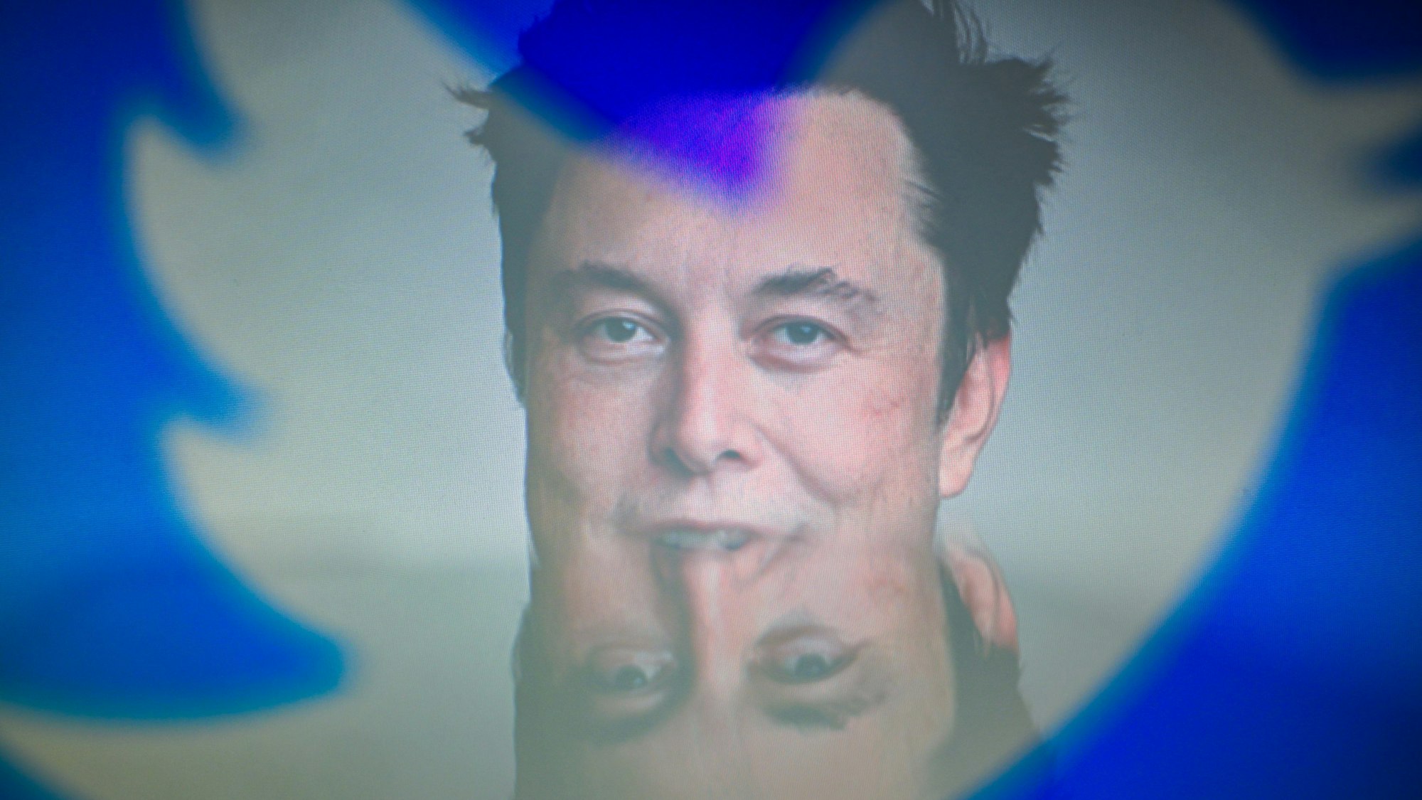 Der neue Twitter-Besitzer Elon Musk blickt durch das Twitter-Logo mit dem markanten blauen Vogel. (Symbolbild)