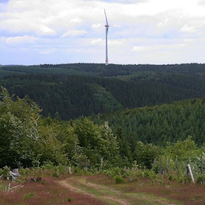 Blick in Richtung des aus Artenschutzgründen als sensibel eingeschätzten Rotbachtals mit Rotoren des Windparks Dahlem IV im Hintergrund.