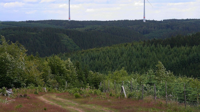 Blick in Richtung des aus Artenschutzgründen als sensibel eingeschätzten Rotbachtals mit Rotoren des Windparks Dahlem IV im Hintergrund.