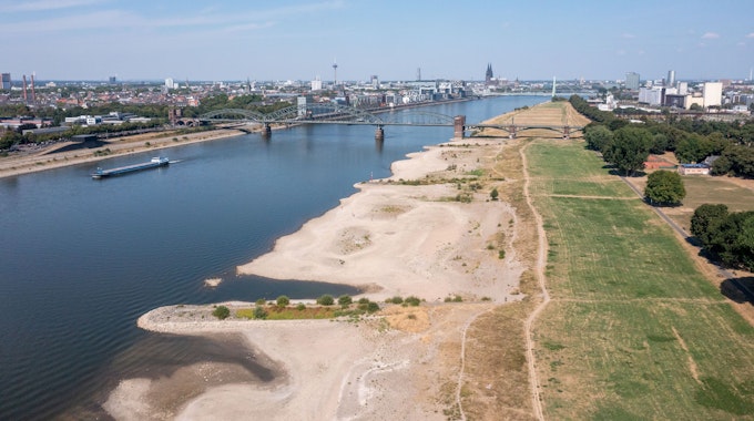 Der Rhein bei den Poller Wiesen mit Niedrigwasser