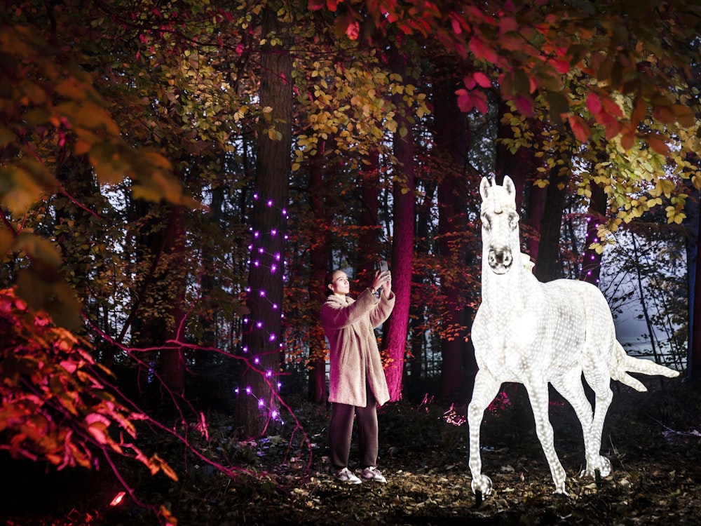 Dienstag, 15. November 2022: Großbritannien, Wetherby: Poppy Wood macht ein Foto von einer Installation in Form eines Pferdes bei den Enchanted Forest Winter Illuminationen im Stockeld Park in Wetherby.