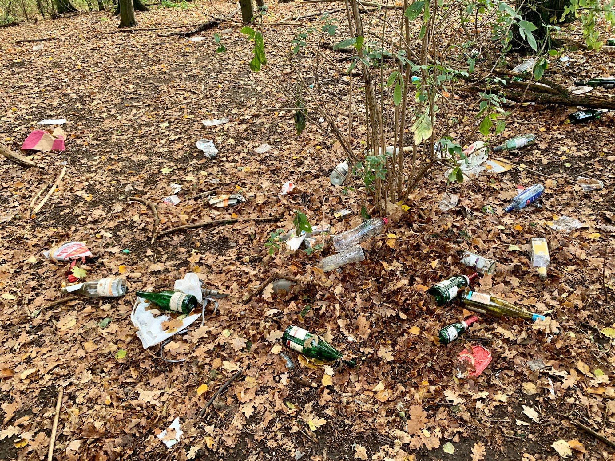 Müll liegt auf dem Waldboden am Aachener Weiher.