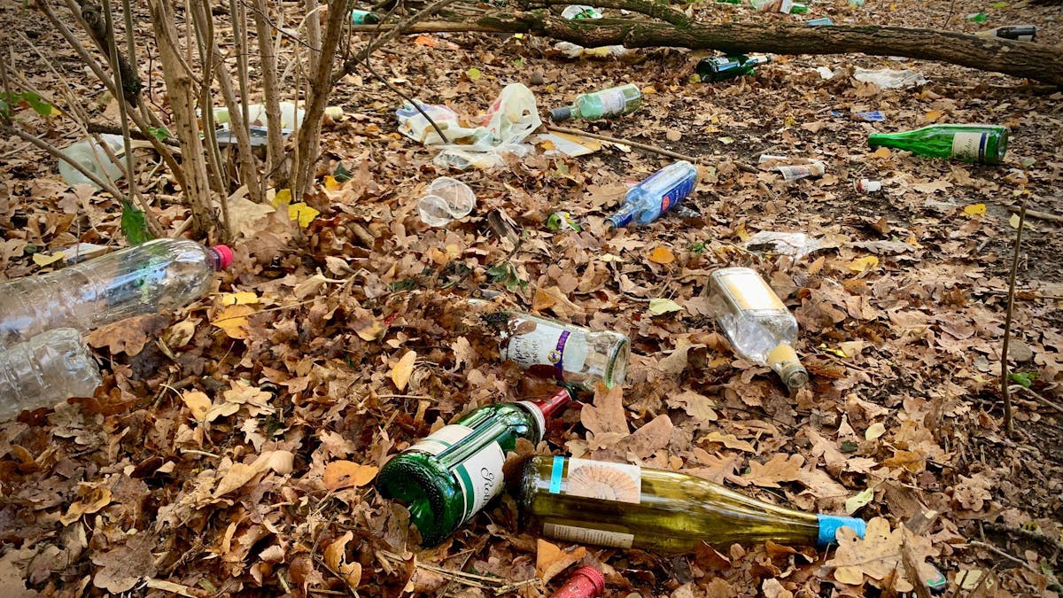 Glasflaschen liegen auf dem Waldboden am Aachener Weiher.