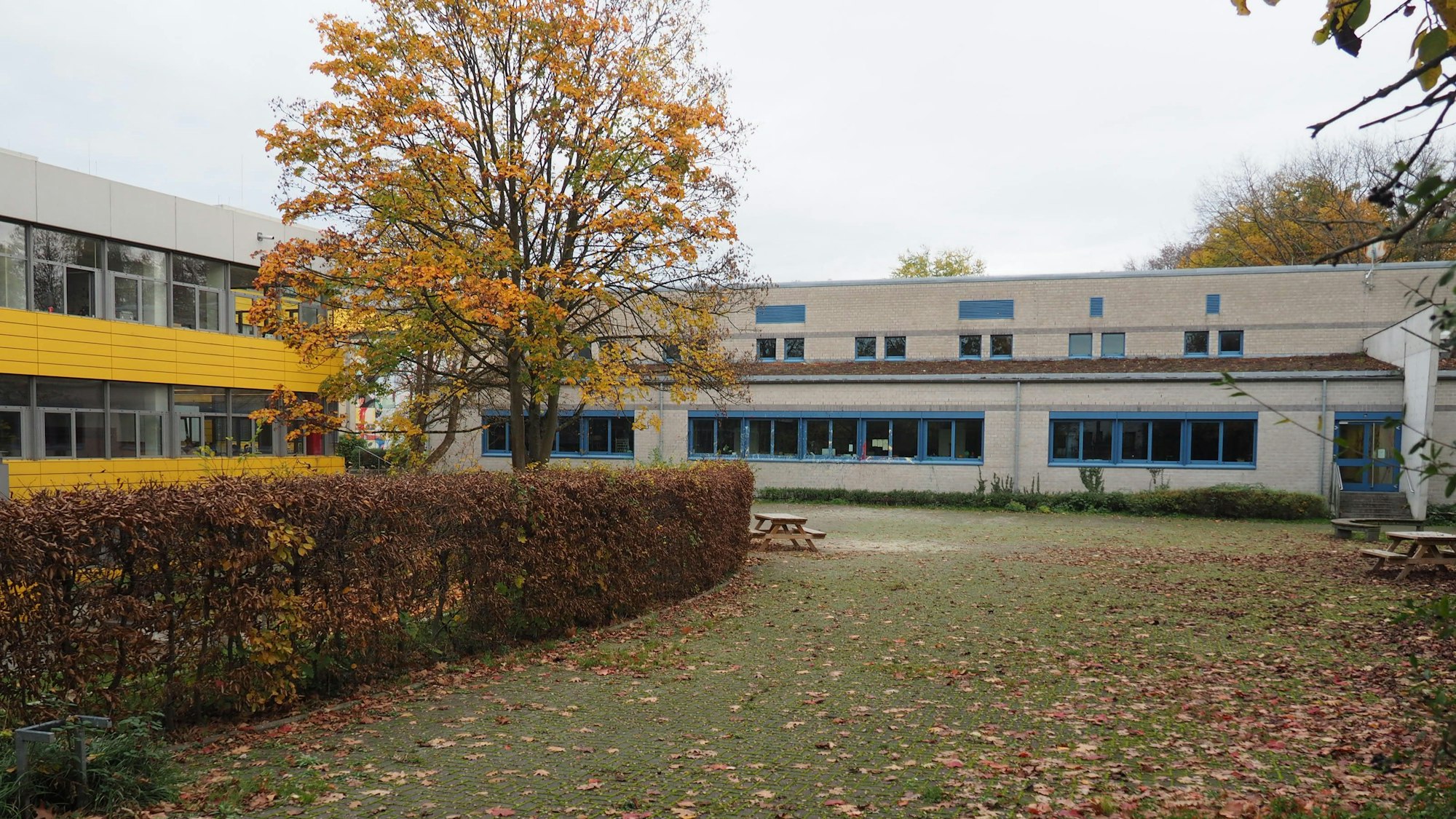 Man sieht einen leeren Schulhof mit einem Baum und Hecke, im Hintergrund das Schulgebäude.