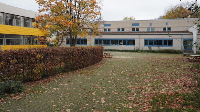 Man sieht einen leeren Schulhof mit einem Baum und Hecke, im Hintergrund das Schulgebäude.