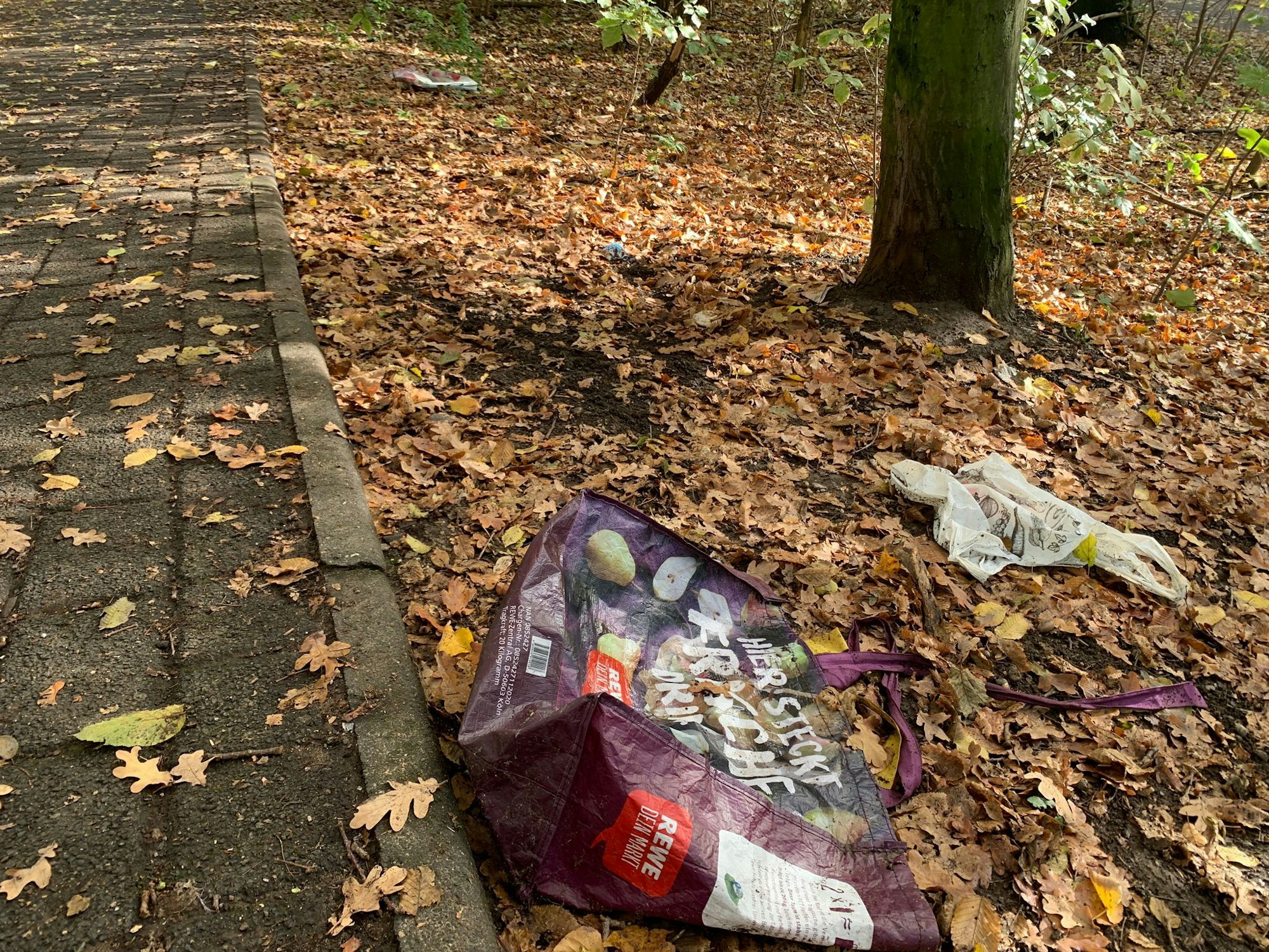 Plastiktüten liegen auf dem Waldboden am Aachener Weiher.