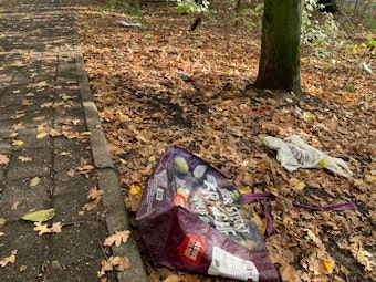 Plastiktüten liegen auf dem Waldboden am Aachener Weiher.