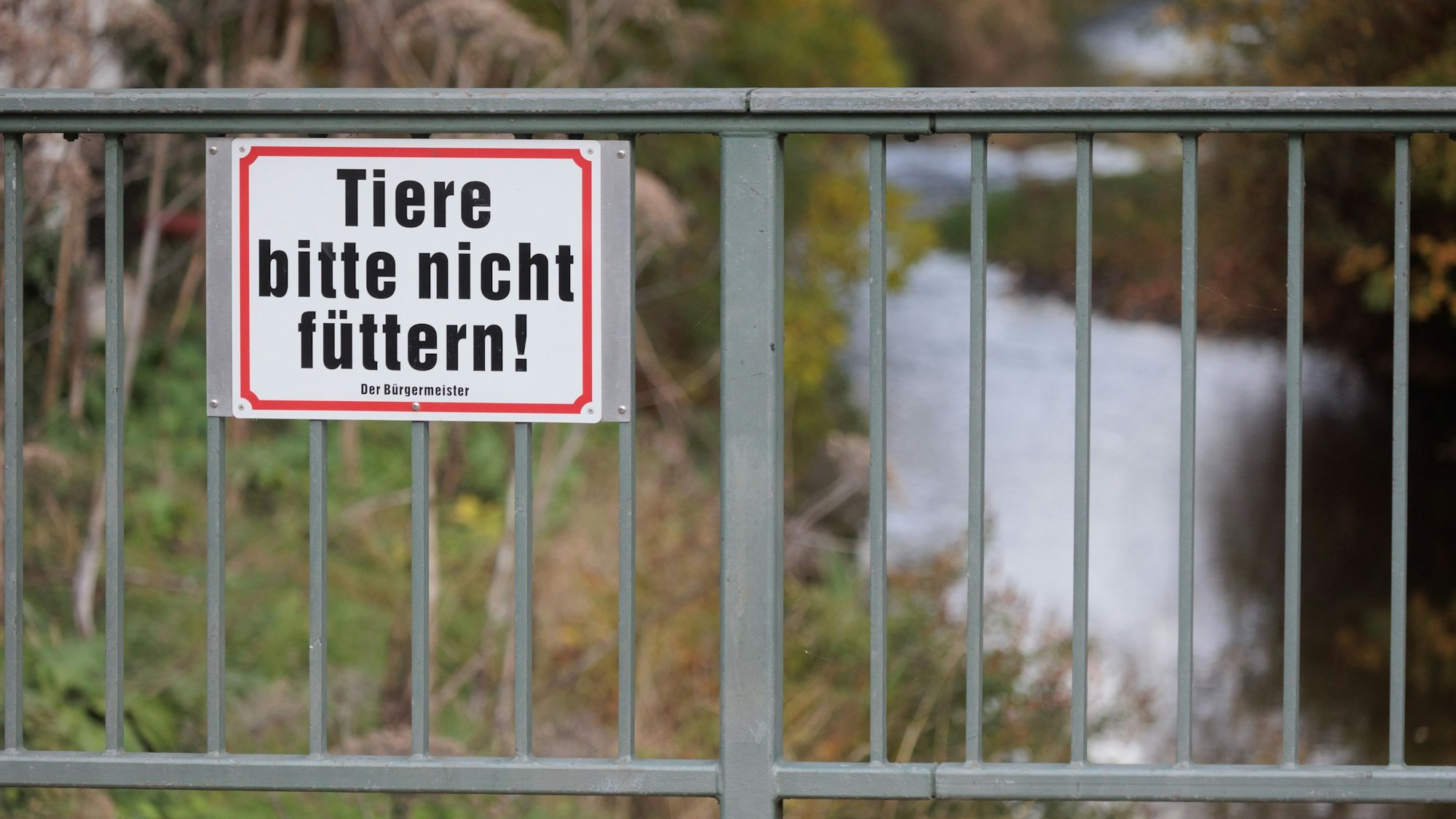An einem Zaun hängt ein Schild mit der Aufschrift „Tiere bitte nicht füttern!“.