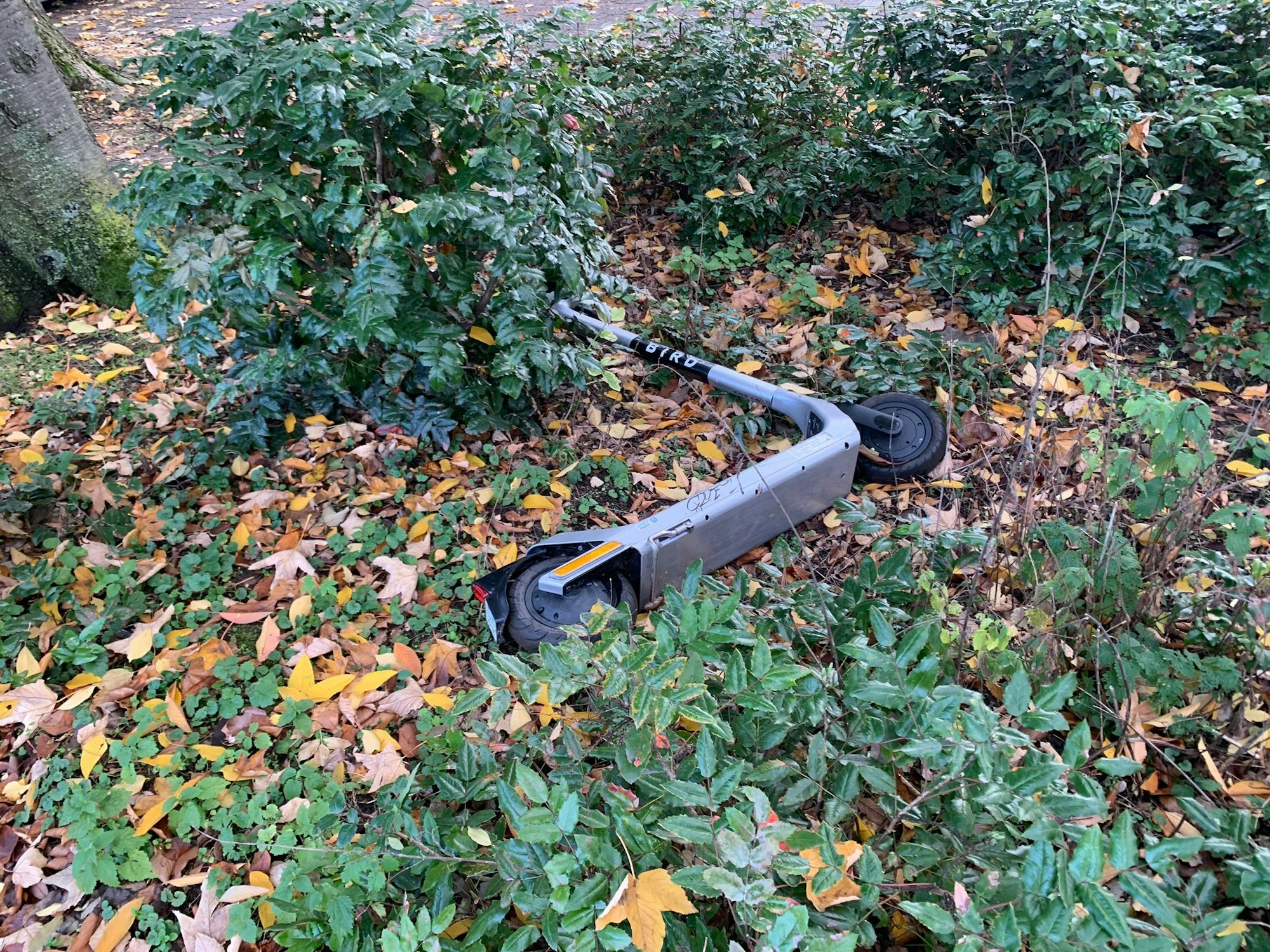 Ein E-Scooter liegt im Gebüsch am Aachener Weiher.