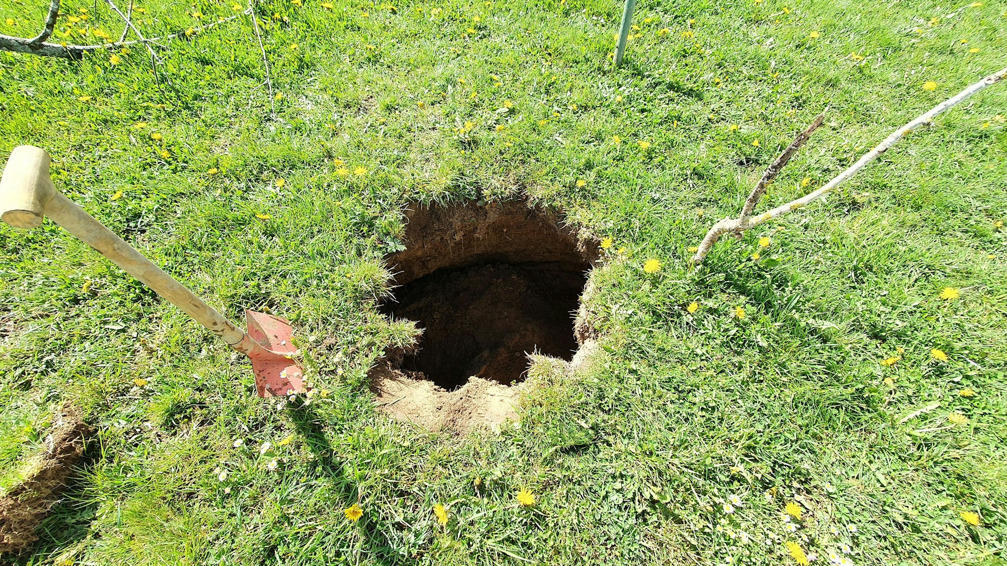 Ein Loch in einer Wiese.