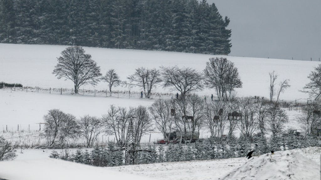Einigen Zentimeter Schnee bedecken im Hochsauerlandkreis die Landschaft.&nbsp;