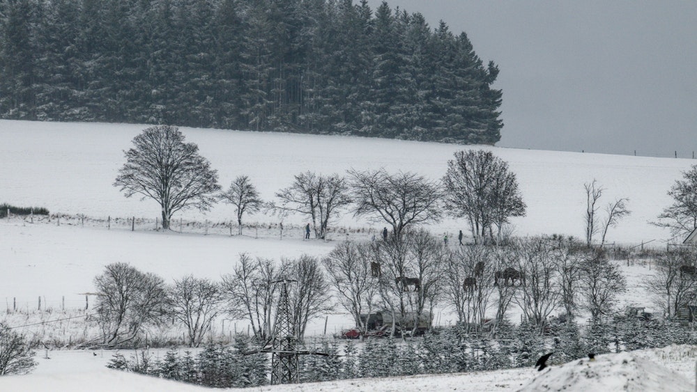 Einige Zentimeter Schnee bedecken im Hochsauerlandkreis die Landschaft.