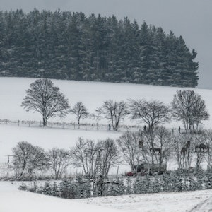 Einigen Zentimeter Schnee bedecken im Hochsauerlandkreis die Landschaft.
