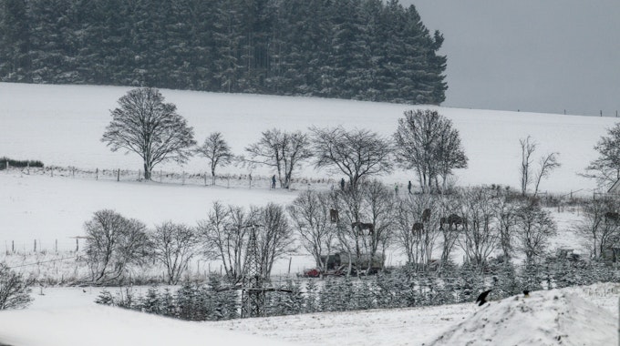 Einigen Zentimeter Schnee bedecken im Hochsauerlandkreis die Landschaft.