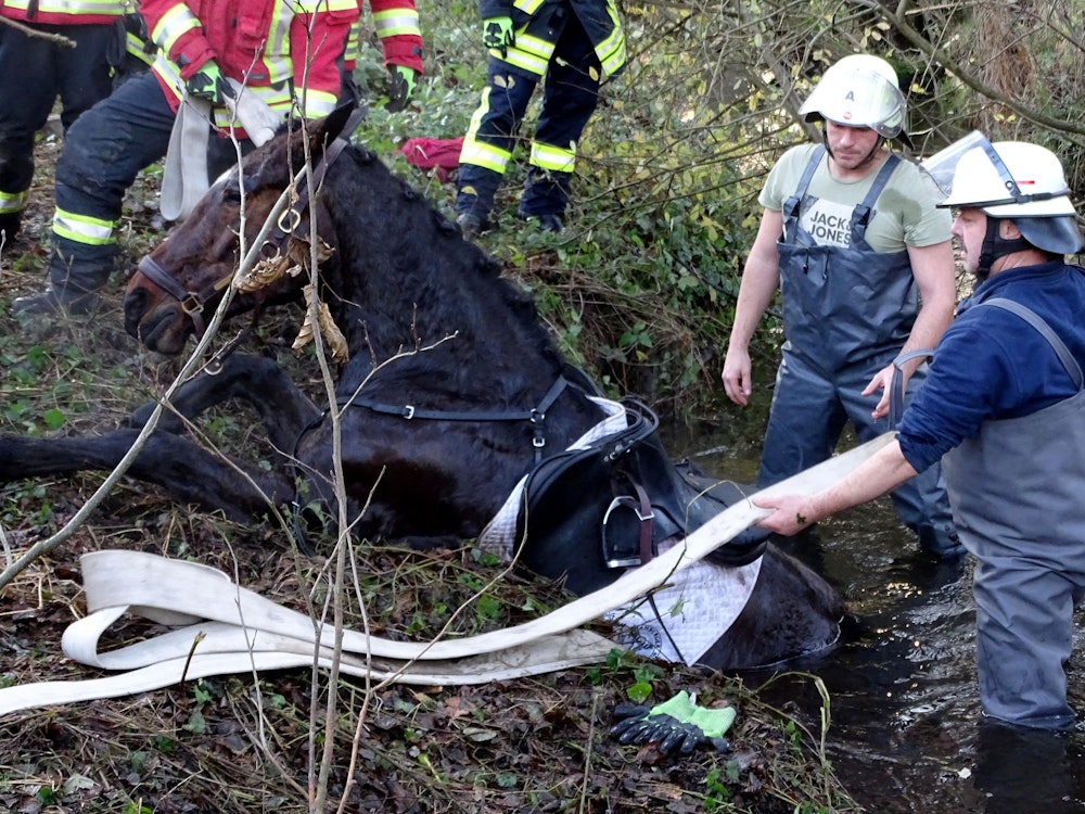 Einsatzkräfte der Feuerwehr bringen bei der Rettungsaktion Schläuche unter das Gesäß des Pferdes. Bei einer Schleppjagd im Landkreis Harburg ist ein Reiter mit seinem Pferd in einen Wassergraben geraten.