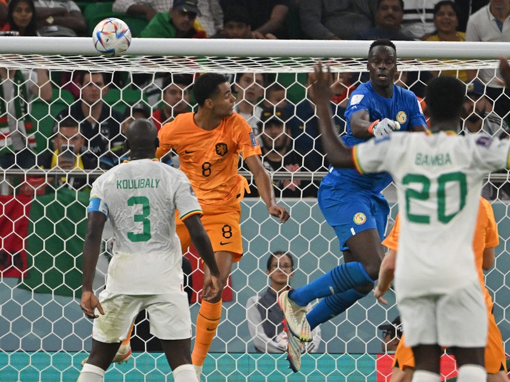 Cody Gakpo (2. v. l.) erzielte das 1:0 im ersten Gruppenspiel für die Niederlande gegen den Senegal.