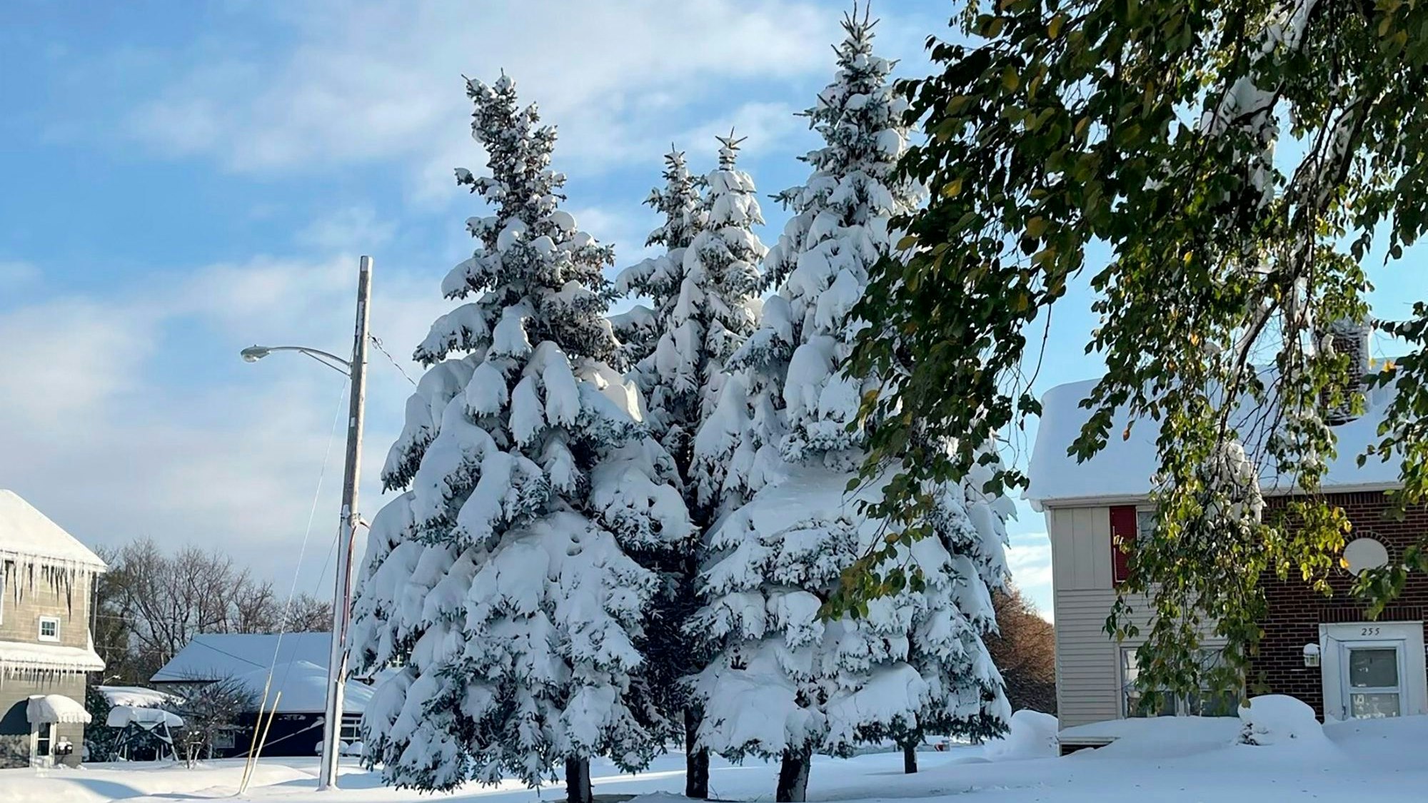 Bäume und Häuser sind mit Schnee bedeckt.