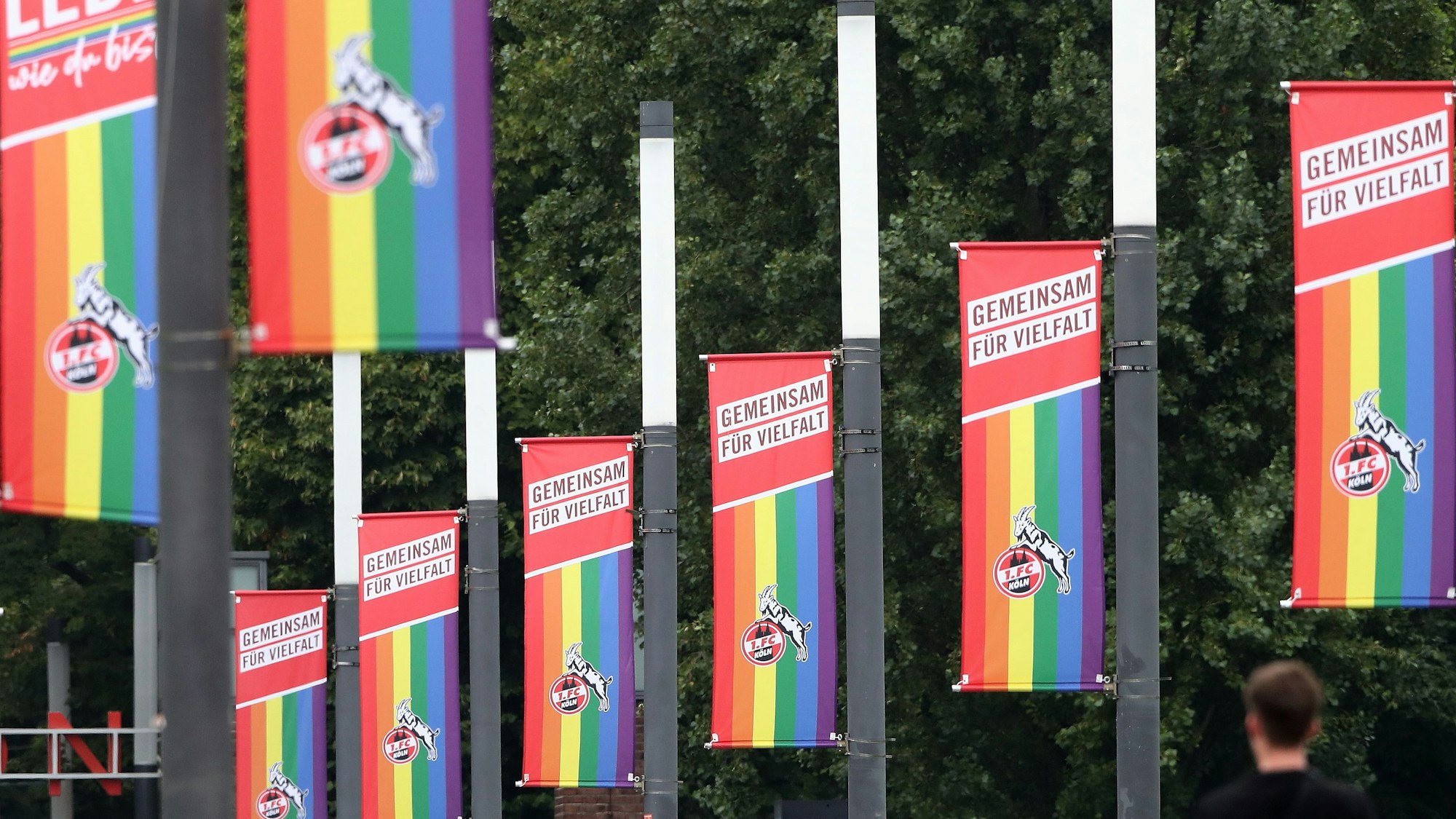 Beflaggung auf dem Oskar-Rehfeldt-Weg (Stadion Vorwiesen): Regenbogenfahne mit Geißbock drauf. Bild: Herbert Bucco








