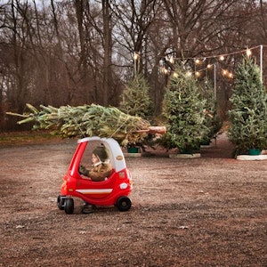 Auf dem Bild ist ein Junge in seinem kleinen Spielzeugflitzer zu sehen, der einen Weihnachtsbaum auf seinem Gefährt trägt.