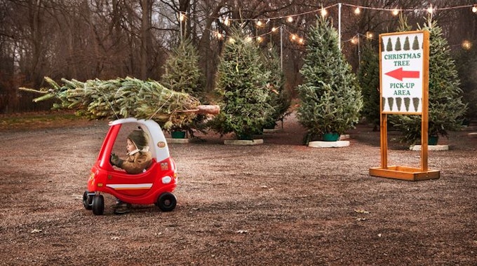 Auf dem Bild ist ein Junge in seinem kleinen Spielzeugflitzer zu sehen, der einen Weihnachtsbaum auf seinem Gefährt trägt.